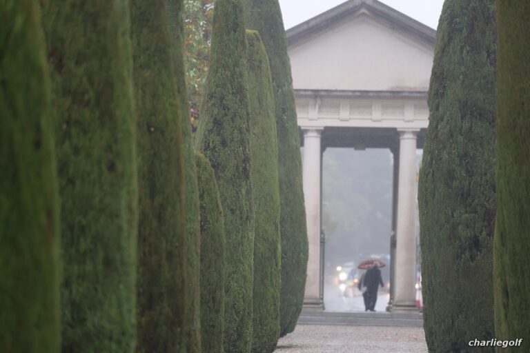 E fu autunno sulla tua tomba